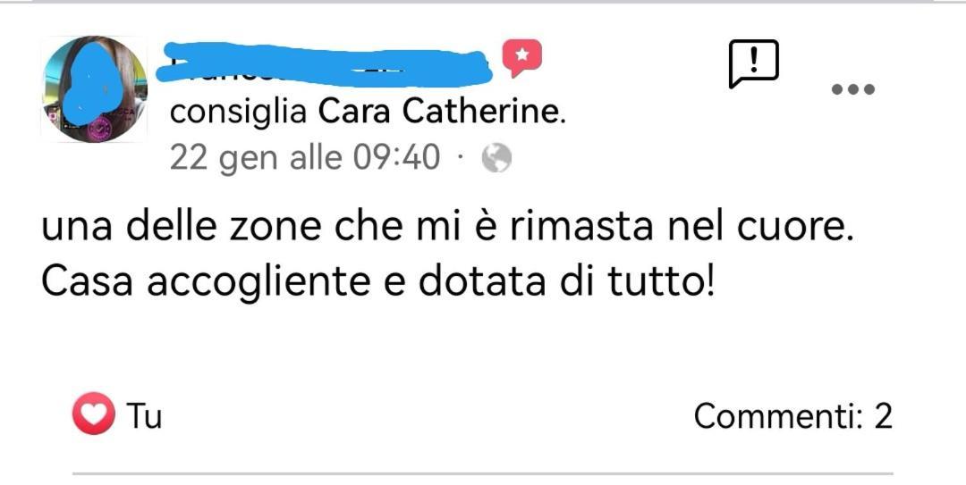 Cara Catherine 杰若米斯 外观 照片